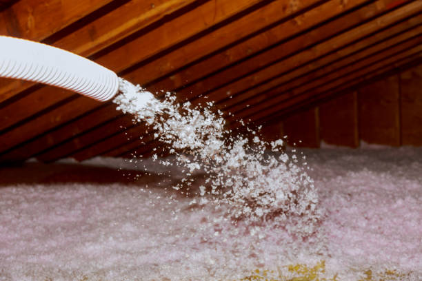 Best Geographic-Specific Insulation Services in Old Jamestown, MO