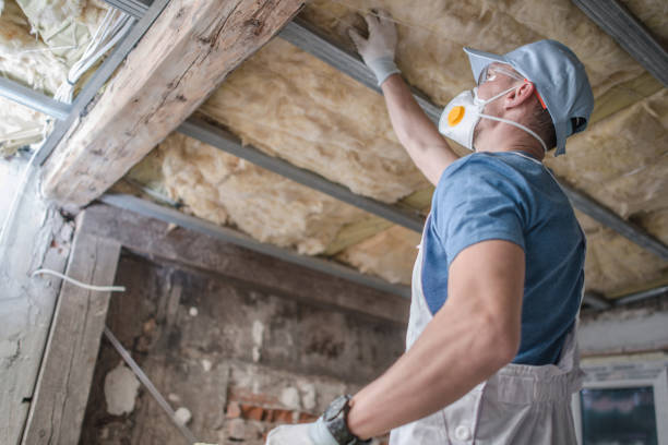 Best Specialized Insulation Services in Old Jamestown, MO