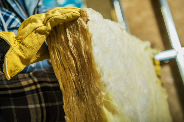 Best Eco-Friendly Insulation in Old Jamestown, MO