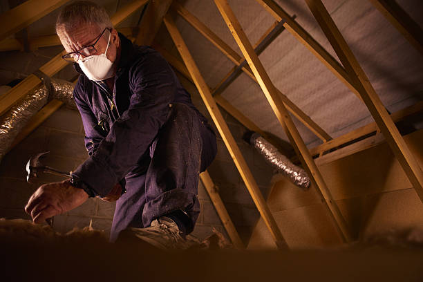 Best Cellulose Insulation in Old Jamestown, MO